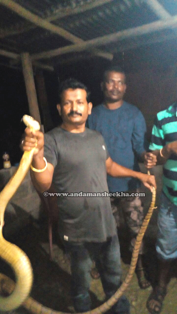sheekha-0608201803