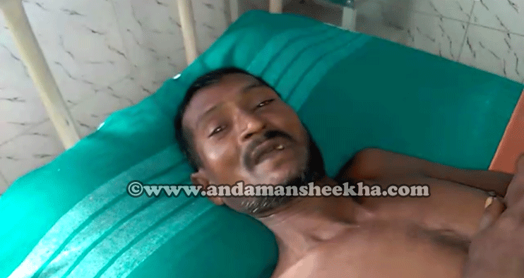 sheekha--1207201801