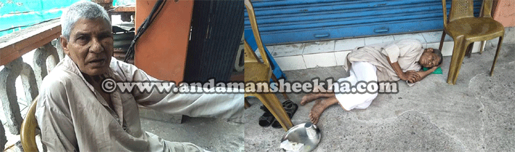 sheekha01032019headline