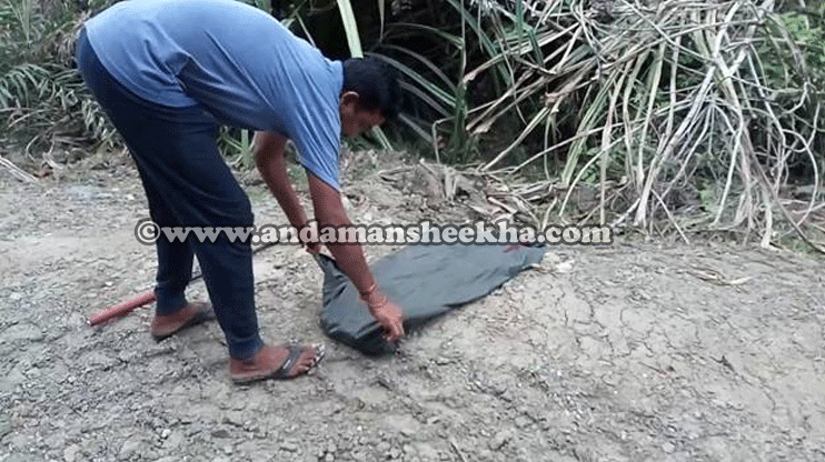 sheekha03052019snake