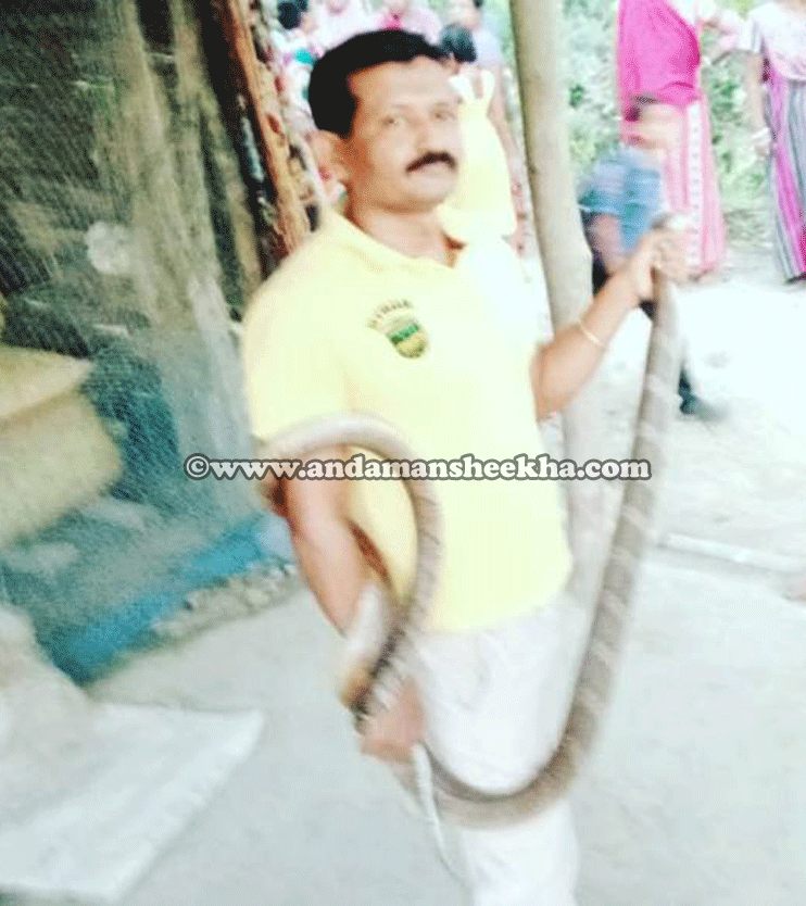 sheekha04032019-snake