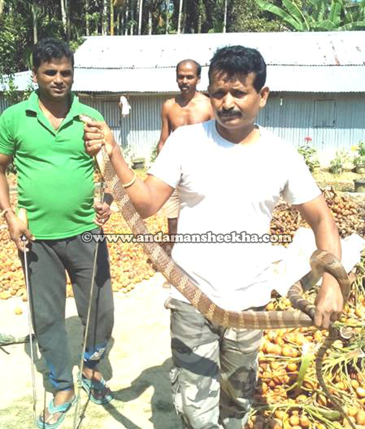 sheekha07022019-snake