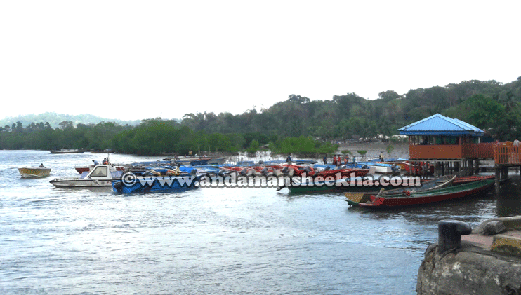 sheekha0802201801