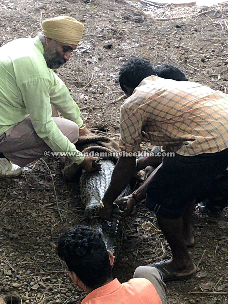 sheekha08072019--crocl