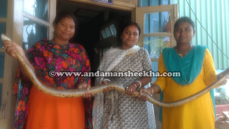 sheekha0903201802