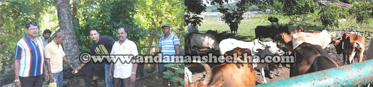 sheekha12072019-headline