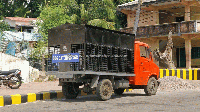 sheekha15022019-hedline