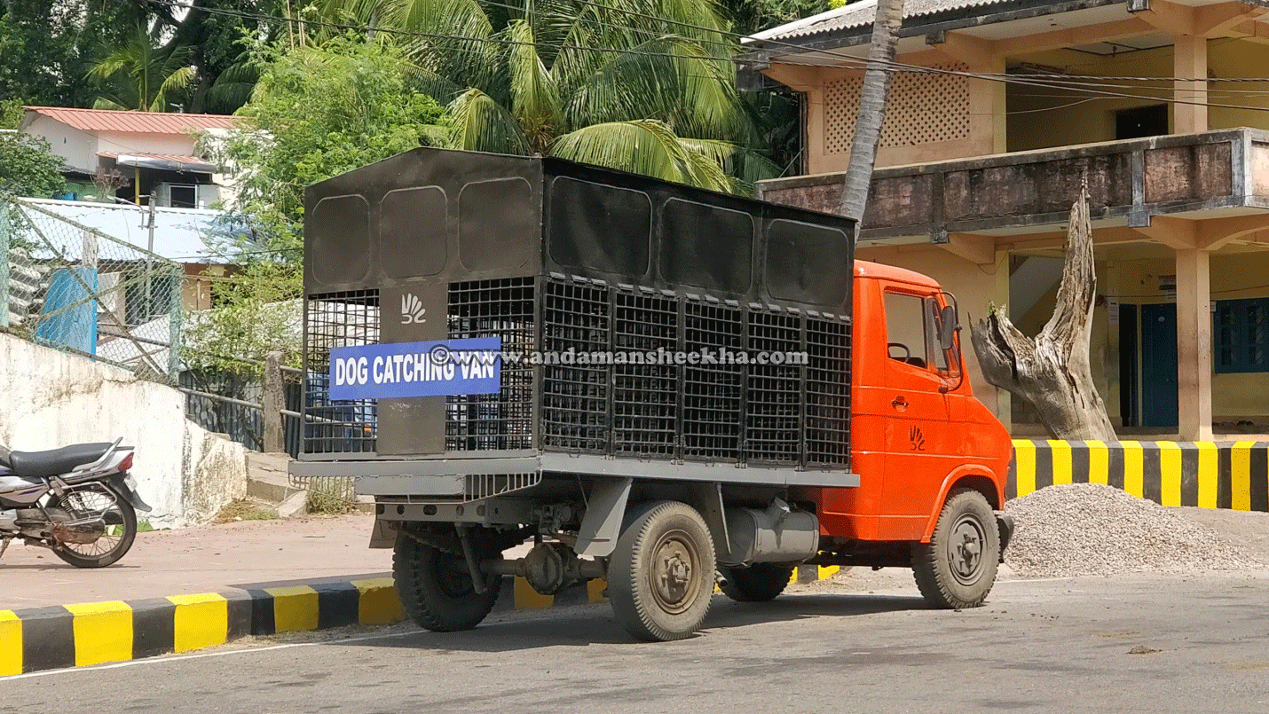 sheekha15022019-hedline