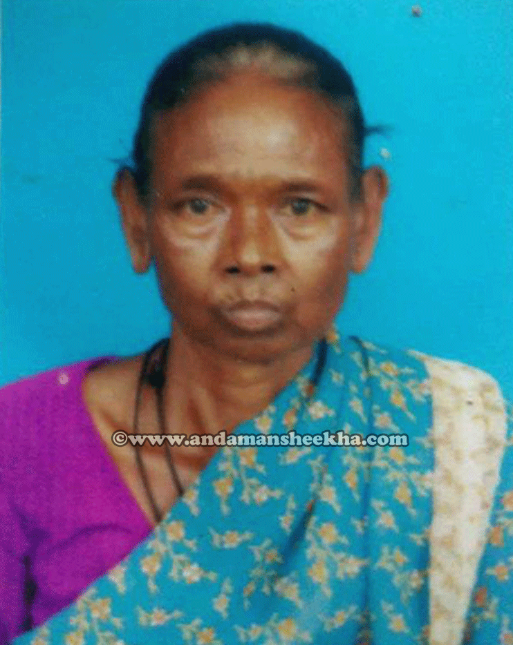 sheekha1506201801