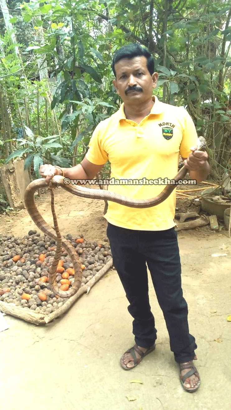 sheekha16022019-hecobra