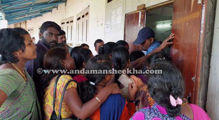 sheekha16102019-islander