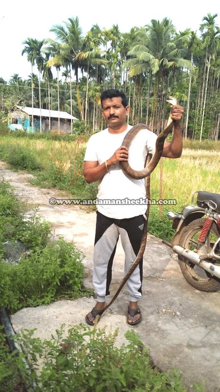 sheekha18012019-snake