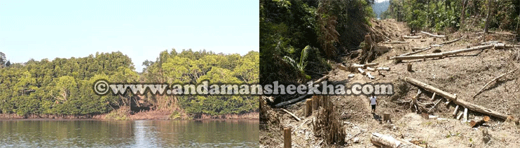 sheekha25022019hedaline