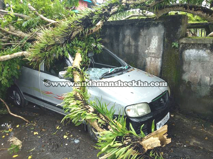 sheekha26092014801 car
