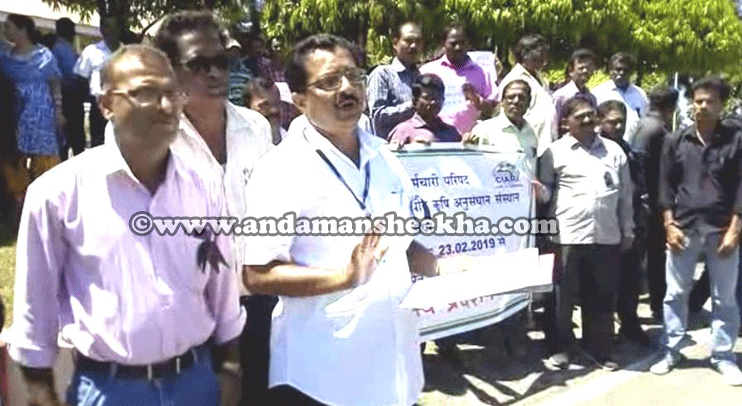 sheekha2702201902n-ds-news