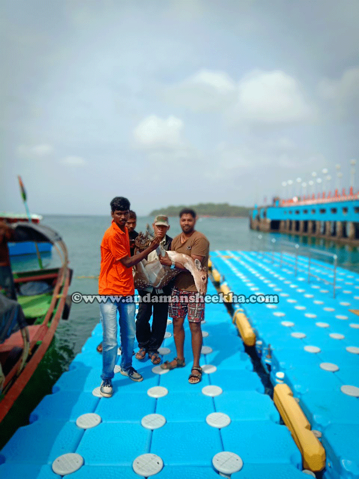 sheekha3007201801